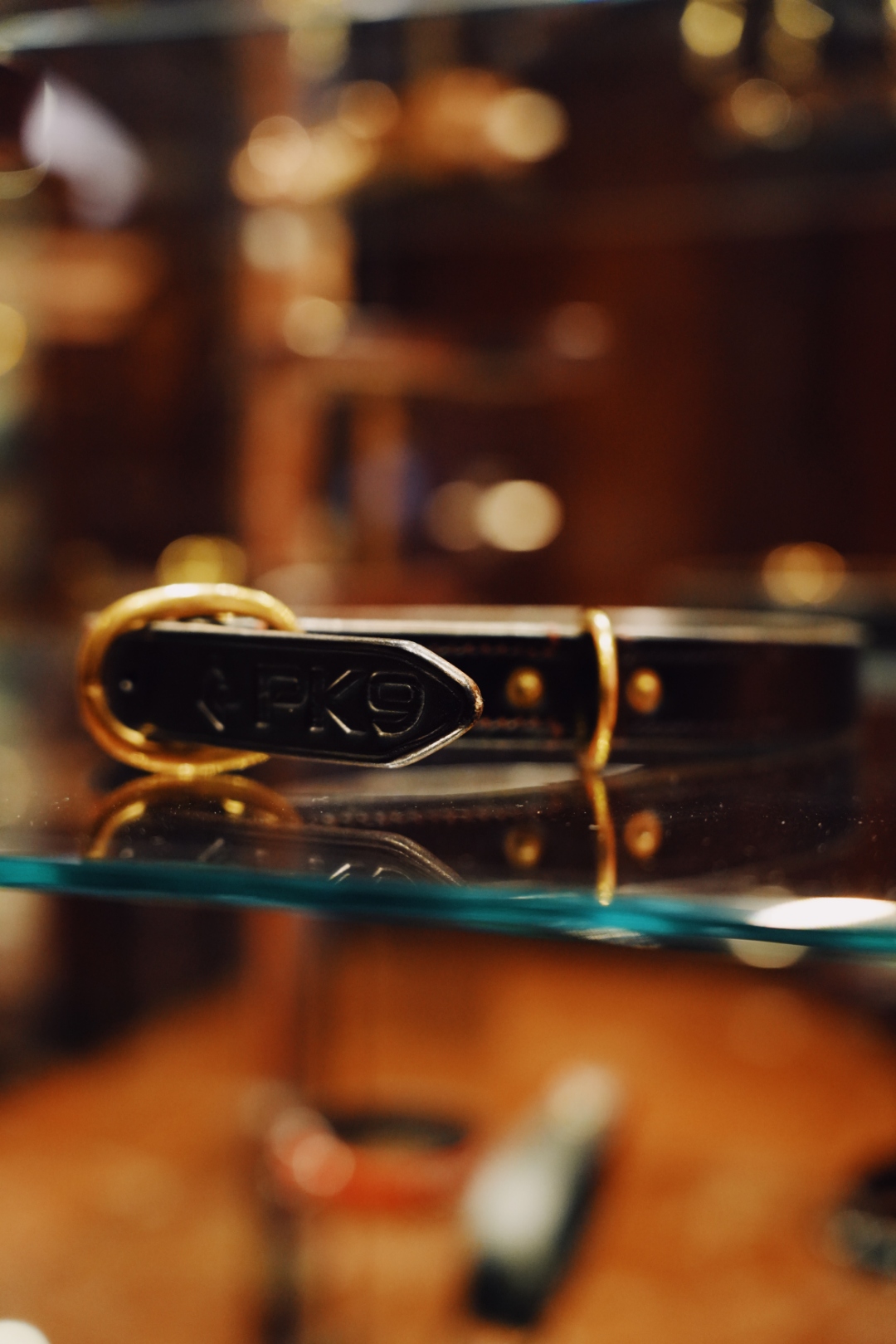PK9 Gear in luxury hotel setting